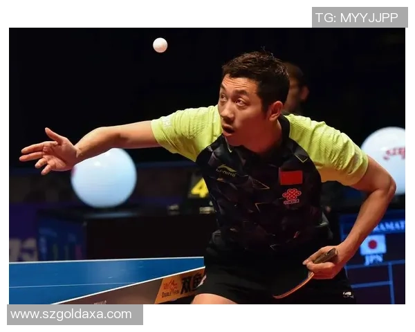 上海乒乓球队个人能力排名创新高引发关注展现实力与潜力
