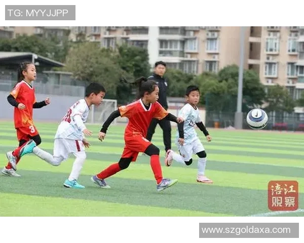 小故事足球：在绿茵场上追逐梦想与友情的奇妙旅程